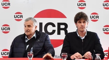 Fuerte repudio de la UCR al discurso de Javier Milei en Davos