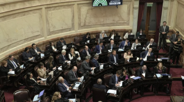 Cayó “Ficha Limpia” en el Senado: faltó un voto y estalló la interna opositora