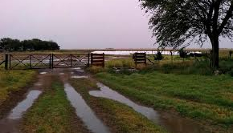 Las últimas lluvias afectaron a 5 millones de hectáreas bonaerenses