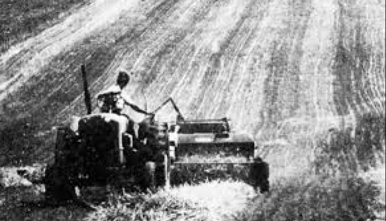 Encuesta Nacional de Febrero: La sociedad resiste el ajuste con la mirada puesta en el "despegue" económico