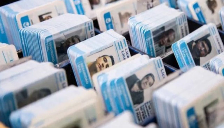 Licencias de conducir: impulsan un sistema de alertas automáticas para evitar multas por vencimiento