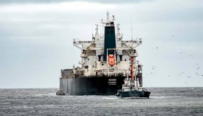 Quequén paralizado por el paro de transportistas: los buques desvían sus cargas hacia Brasil por falta de granos