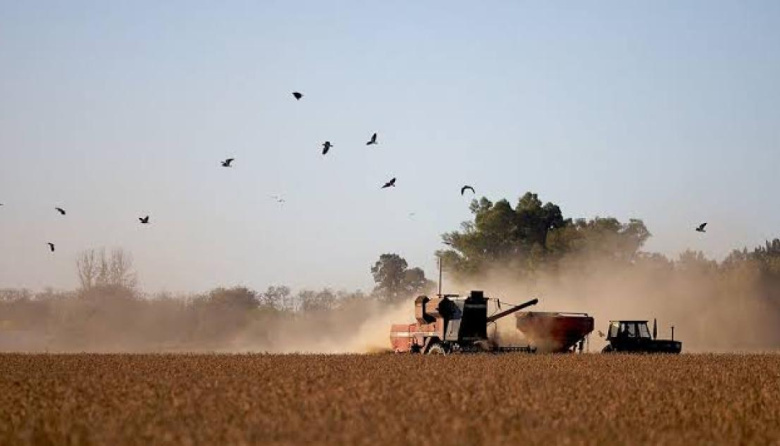 El Gobierno oficializó la baja gradual y permanente de las retenciones al campo