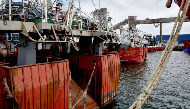 Cámaras empresarias y armadores solicitaron la declaración de emergencia para la pesca fresquera