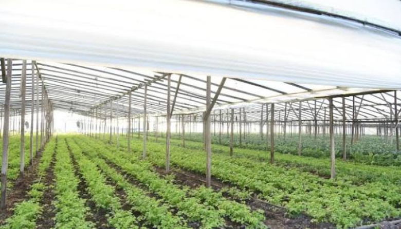 La provincia de Buenos Aires realizará un Censo Hortiflorícola