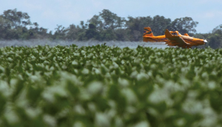 Un informe señala una transferencia negativa hacia el agro argentino internacional