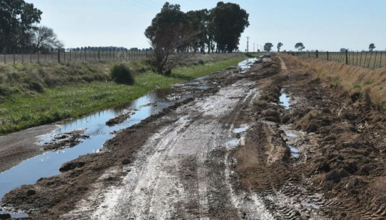 Caminos rurales: el 79% de los productores bonaerenses denuncian malas condiciones
