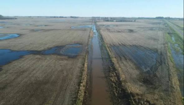 Declararon la emergencia agropecuaria en 9 de Julio y Necochea por las severas inundaciones