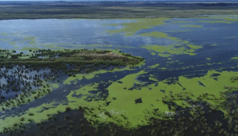 La Provincia regula el uso de tierras públicas en islas y crea un registro