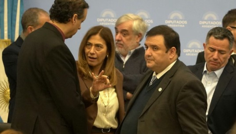 Discapacidad: el Gobierno dio marcha atrás con el ajuste y logró dictamen en Diputados