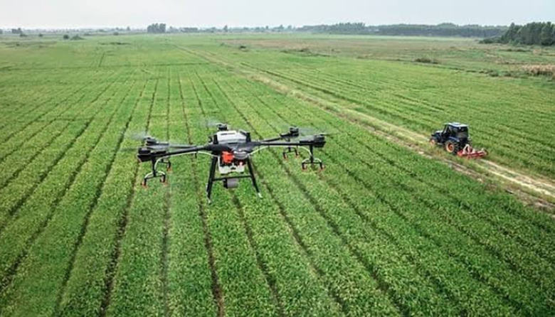 La Justicia de La Plata le ordenó al Gobierno nacional preservar los datos sobre tierras rurales bonaerenses