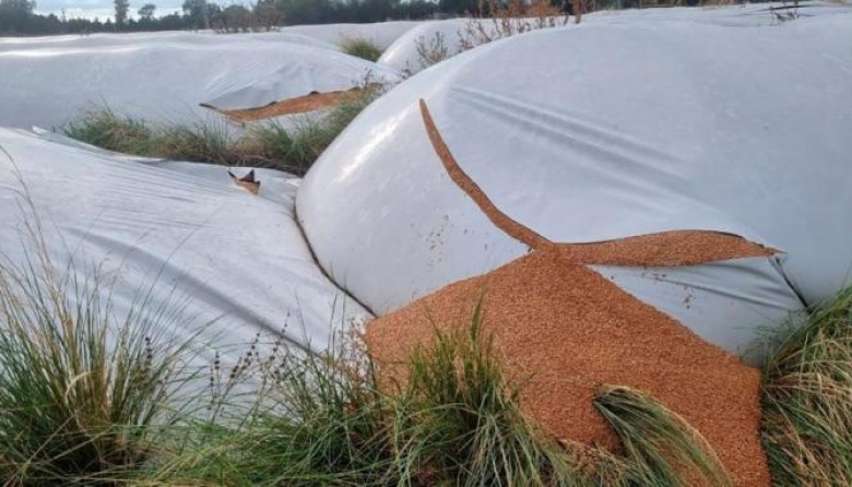 CARBAP solicitó el respaldo legislativo al proyecto contra el vandalismo rural que obtuvo dictamen en Diputados