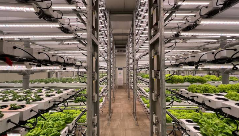 Doce startups AgriFoodTech del Cono Sur presentarán sus proyectos en el Parque de Innovación de Buenos Aires