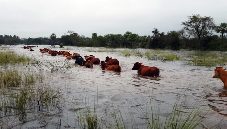 Nación homologó la emergencia agropecuaria por inundaciones en dos partidos bonaerenses