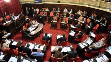 El jefe de gabinete de Kicillof informará al Senado por videollamada.