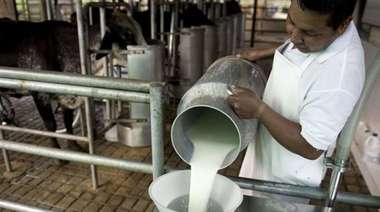 Aseguran que podría faltar leche y productos lácteos por un paro en el sector