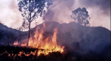 Greenpeace advierte que el fuego arrasó casi 5 mil hectáreas del Parque Nacional Calilegua