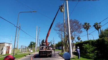 Nuevas columnas de hormigón para los tendidos eléctricos troncales de La Plata