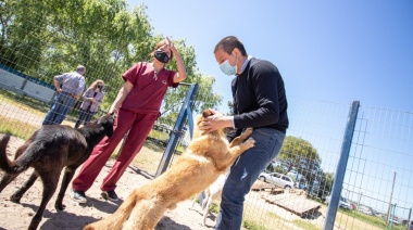 Este verano se comenzará a construir el Hospital Municipal Veterinario