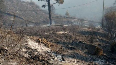 Aprobaron la ley que busca evitar la especulación con tierras incendiadas