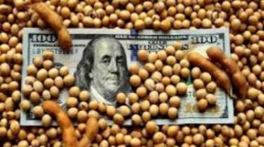 “Santa soja, ten piedad de nosotros”, por Carlos Fara
