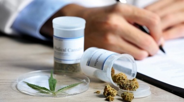 El Gobierno reglamentó el registro de autocultivo de cannabis medicinal