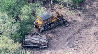 La Justicia suspendió los desmontes pero continúa la destrucción