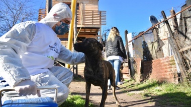 La Plata: reiteran protocolo de acción para casos de maltrato animal