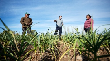 Trabajadores de la Tierra lanzarán una red de almacenes de alimentos sanos