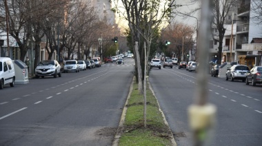 Se completa la forestación en la rambla de avenida 60