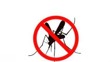 Realizan campaña de descacharreo para prevenir el dengue