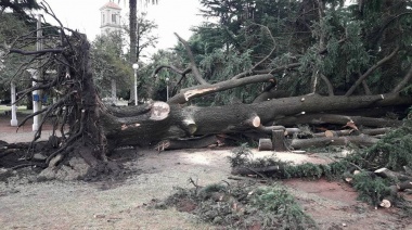 El temporal también afectó a las ciudades del interior de la provincia de Buenos Aires