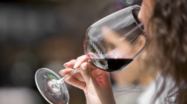 Crisis en los envasados de vinos: ¿Qué va a pasar en las fiestas?
