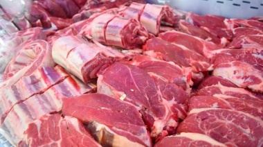 Por un nuevo aumento a la carne, analizan aplicar más retenciones