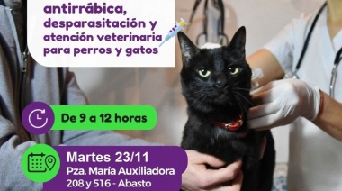 Llega a Abasto el consultorio veterinario móvil de la Municipalidad