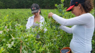 Este domingo entregaran un reconocimiento a Mujeres Rurales de Saladillo