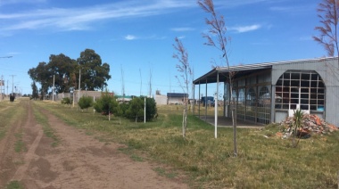 En Coronel Dorrego crece el asentamiento Los Eucaliptos pegado a Monte Hermoso