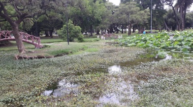 Parque Saavedra en estado de abandono: peces muertos y falta de mantenimiento