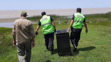Un lobo Marino perdido en las costas Berisso fue liberado por la Policía Ecológica en Magdalena