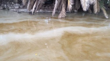 Posible foco infeccioso en el parque San Martín