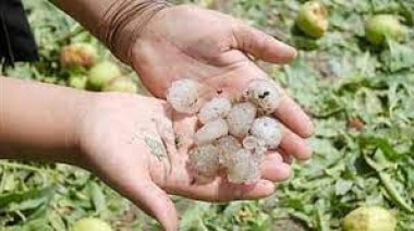 Mendoza decretó la emergencia o desastre agropecuario en zonas afectadas por granizo