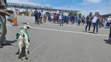 Corte en la Autopista Richieri por protestas de los trabajadores de SENASA
