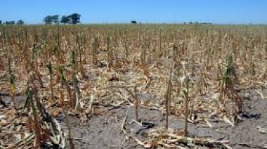 Juntos por el Cambio pide que se anuncie emergencia agropecuaria