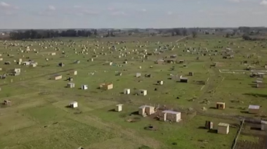 La Plata: Legisladores de Juntos exigen una respuesta a Provincia ante la creciente toma de tierras