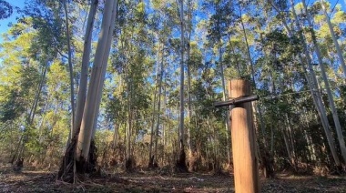 Denuncian ecocidio en el Parque Pereyra Iraola