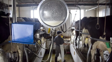 Carmen de Areco: el litro de leche se venderá a $60 y los bolsones de verdura a $500