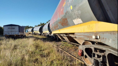Bahía Blanca: descarriló un tren de carga en las vías del Puerto