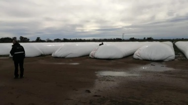 Detectan más de 1.200 toneladas de granos sin registrar en un operativo