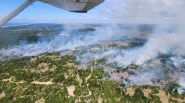 Combaten un incendio en Ruta 11 que consume el bosque ubicado entre Gesell y Cariló