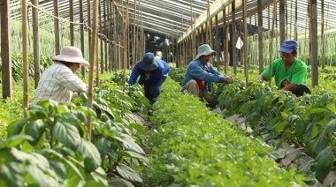 Milei intervino el Instituto Nacional de la Agricultura familiar, campesina e indígena